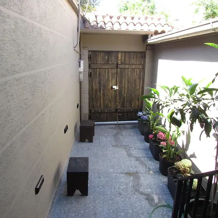 At Mimosa Street * ティラナ