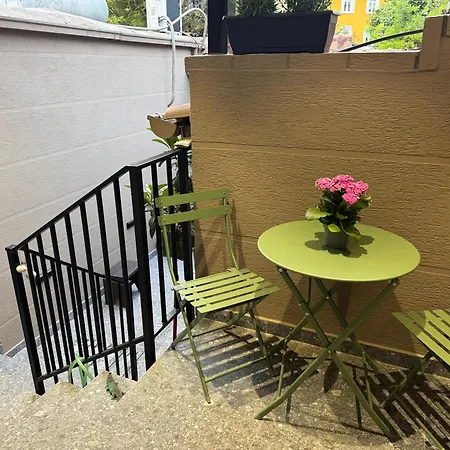 At Mimosa Street Tirana