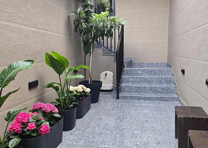 At Mimosa Street Hotel Tirana