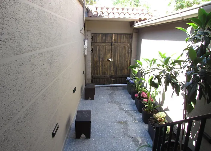 At Mimosa Street * Tirana