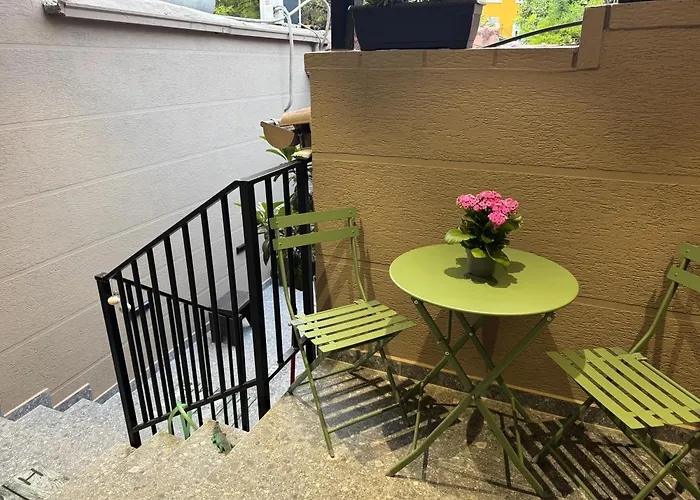 At Mimosa Street Tirana